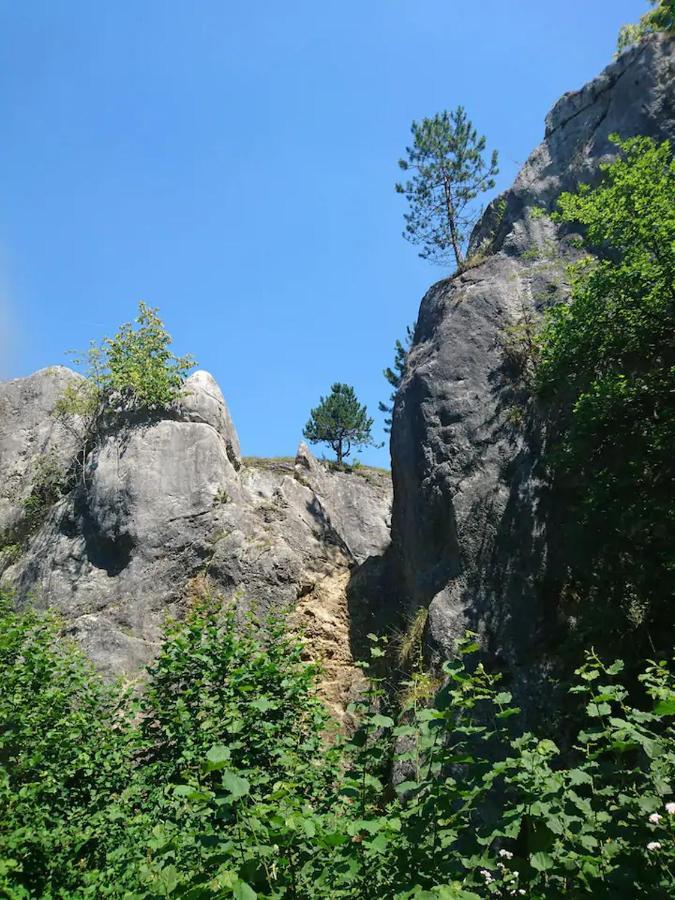 Vila Patchou'S Cabane Couvin Exteriér fotografie